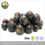 Halal food chinese freeze dried black currant from ISO certified company