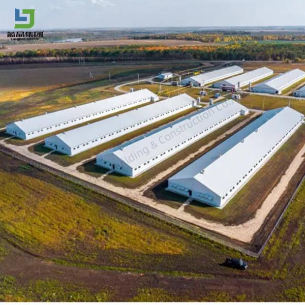 Steel Metal Frame Prefabricated Steel Structure Chicken Farm Poultry House Cow