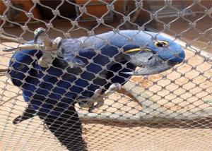 China Customizable AISI 316 304 Stainless Steel Aviary Mesh For Bird Habitats wholesale