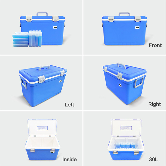 Portable Insulate Ice Chest Veterinary Laboratory Medical Injection Mouldings Medical Vaccine Cooler Box