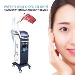 Multifunction 13 In 1 oxygen Therapy Facial Machine 300w 240V