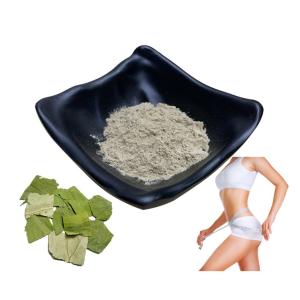 China Powdered Lotus Leaf Extract Nuciferine 10% 50% 98% For Lose Weight Products wholesale