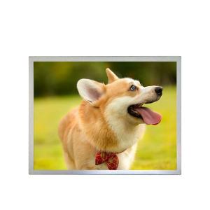 China 15 Inch High Tni Lcd Monitor Panel High Brightness Industrial Lcd Screen Outdoor wholesale