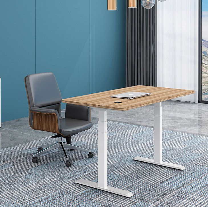 Write Table Modern Office Desk with Custom Wooden Grain and Electric Height Adjustment