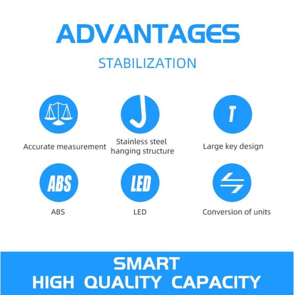 ABS stainless steel 300kg Digital Hanging CRANE SCALE Weighing Scale with LCD Display for Measuring OEM Supported