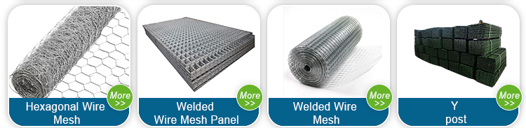 Customized Galvanized Chain Link Fence for Sustainable and Durable Garden Protection