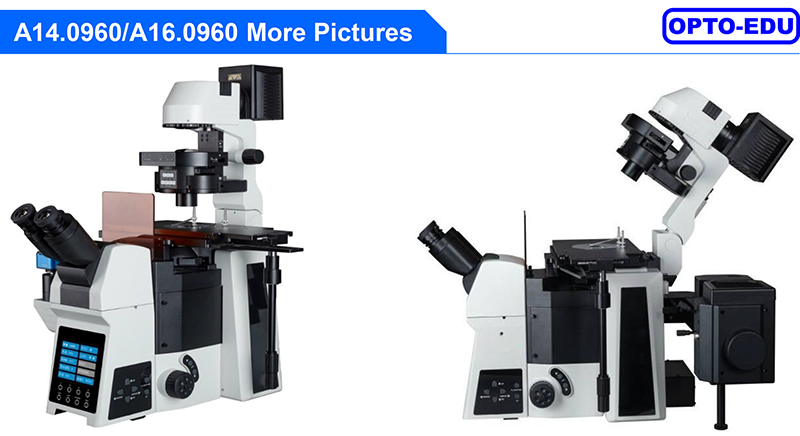 Opto Edu A16.0960 Research Level Inverted Fluorescent Microscope Motorized Nosepiece Condenser