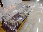 Good Sealing Performance Chemical Glove Box Chamber With Vacuum Flange