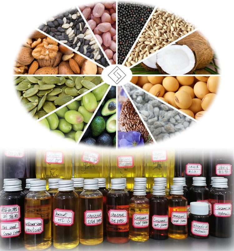 Low Noise Industrial Oil Press Machine Essential Equipment