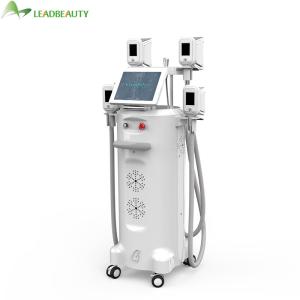 China Whole Body Slimming Fat Freezing Physiotherapy Cryotherapy Facial Equipment wholesale