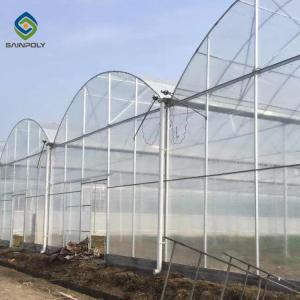 China Plastic Multi Span Greenhouse Saw Tooth Roof Ventilation wholesale