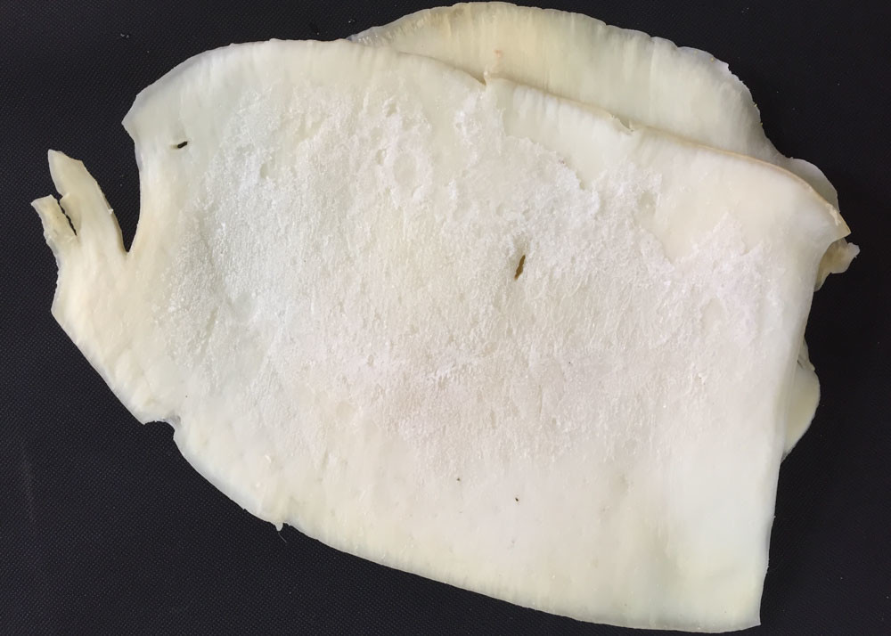 White Color Seasoned Dried Squid
