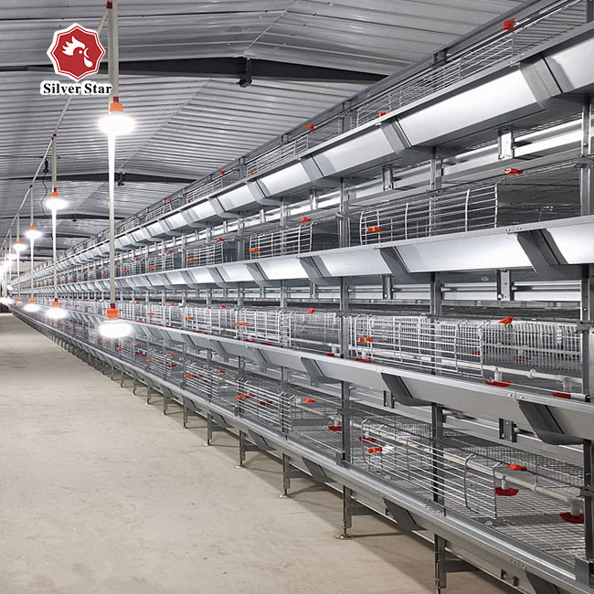 H Frame 4 Tiers Meat Chicken Broiler Cage 136 birds