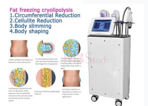 China CE Rohs Weight Loss Body EMShapeing Cryolipolysis Machine wholesale