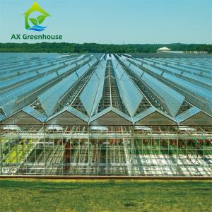 China ODM Industrial Agricultural Glass Greenhouse wholesale