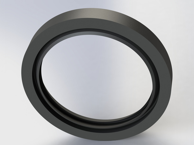 Lip Seal