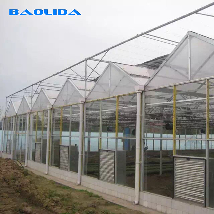 Agriculture Film Clear Polycarbonate Greenhouse Transparent Square Steel Frame Coating