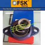 China Pillow Block Bearings for Sale FYTB20FM Flanged Bearing Units