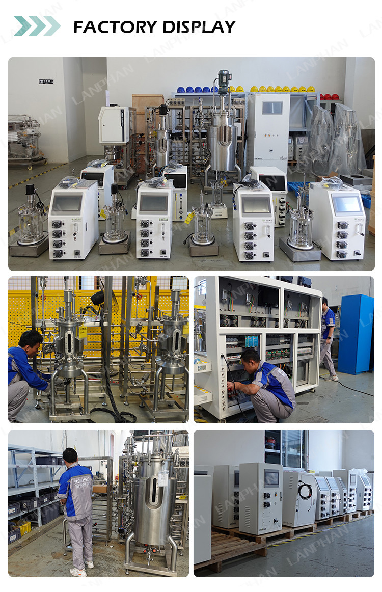Lab Glass vaccine Fermentation Bioreactor fed batch Benchtop Stirred Tank Bioreactor