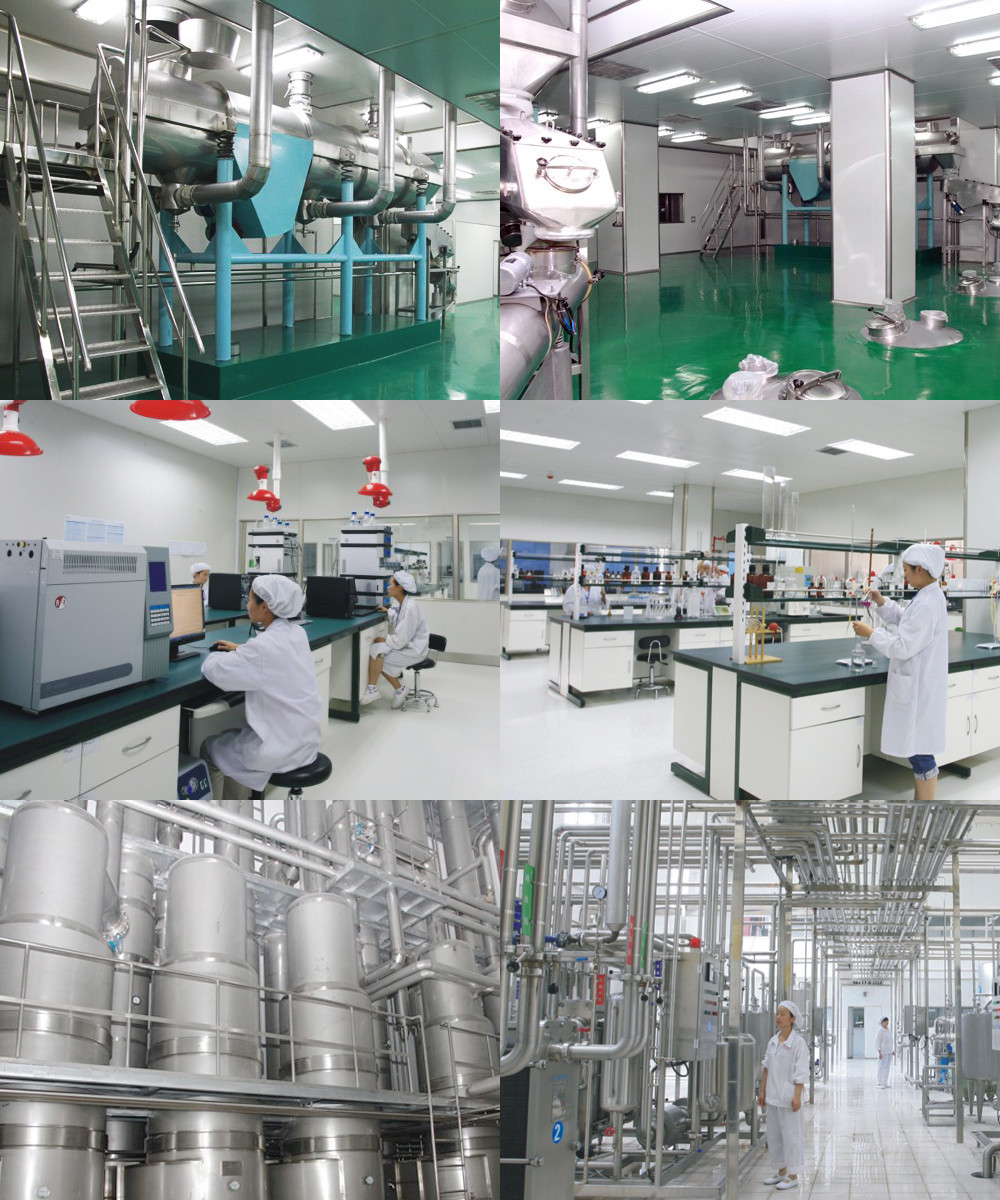 Adult Natural Goat Milk Powder GMP HACCP HALAL Certification