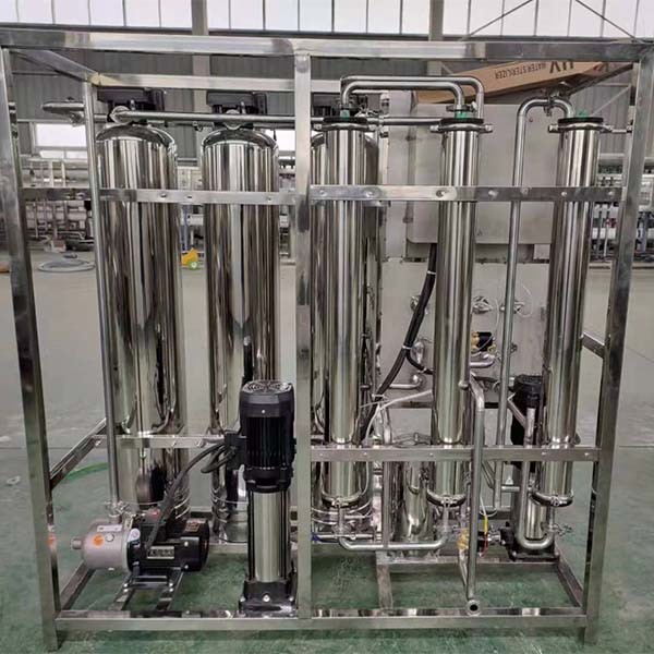 0.25 Tons Double-Stage Of Purified Water Reverse Osmosis Equipment