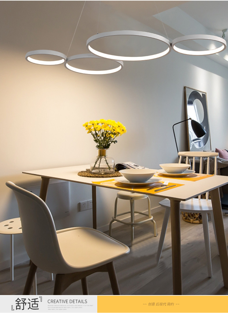 Aluminum lamp body simple, warm, two color, fantastic concept Chandelier