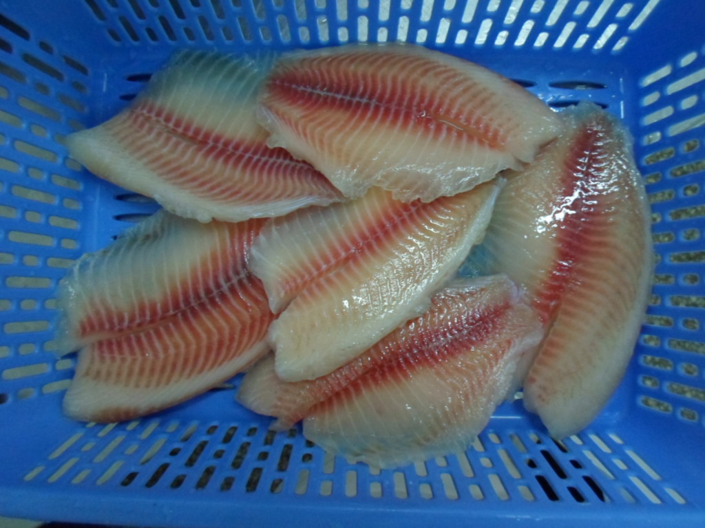 Healthy Pure Fresh Boneless Frozen Tilapia Fish , Frozen Tilapia Fillets