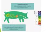 Organic Acidic Agent Feed Additive For Piglet