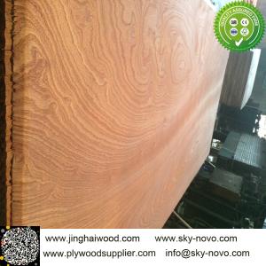 China Sapele/sapelli plywood wholesale