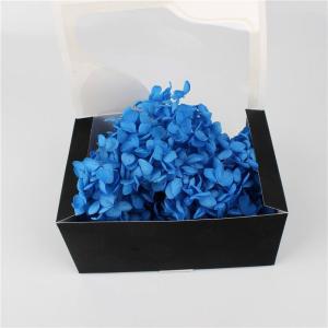 China Decorative Wall Natural Touch Preserved Hydrangea Color Chart Available wholesale