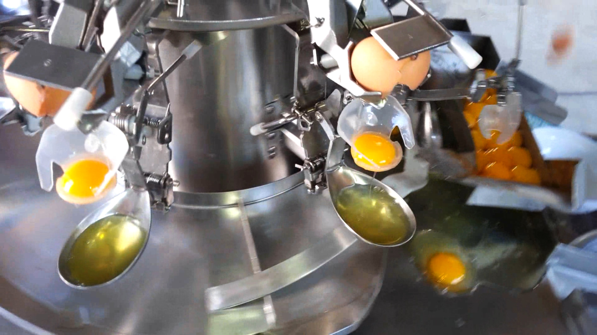 Egg Liquid Pasteurizer Egg Yolk Separator Machine Egg Breaking Machine SUS316L/SUS304