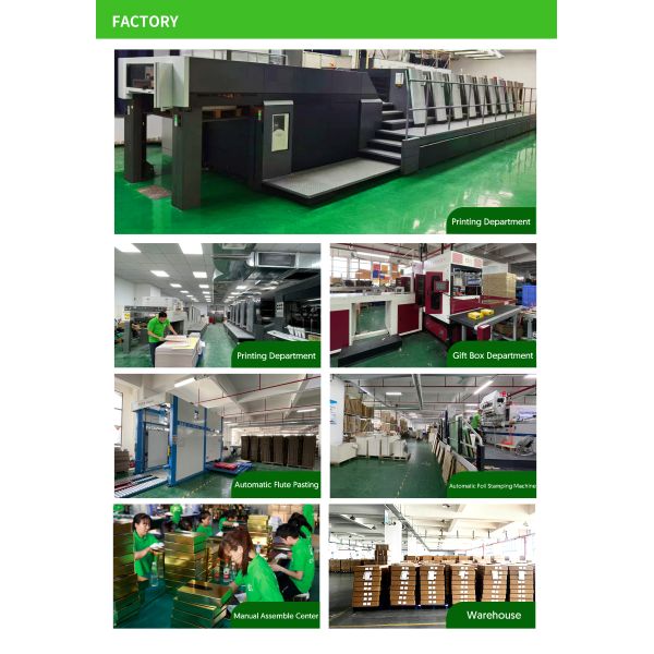 Custom Printed Lip Gloss Packaging Wholesale , Eco Friendly Lip Gloss Boxes With Logo