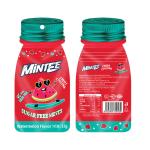 OEM Room Temperature Storage Delicious Flavored Sugar Free Mint Candy