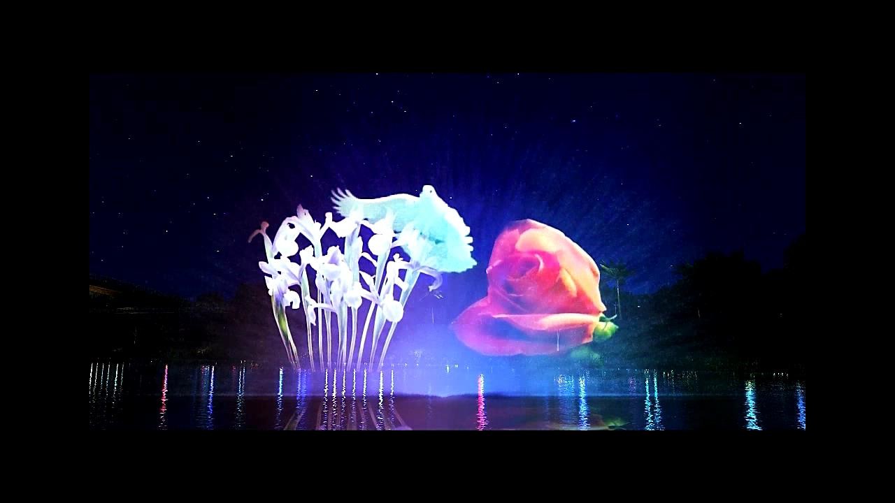 3d Image Water Screen Fountain Construction / Water Curtain Movie Show Self Designed