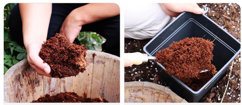 Cocopeat Fiber Coconut Coir Growing Slab for Hydroponic 5kg Block Press Baler Machine