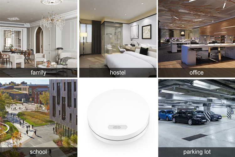 Alkaline Zinc Battery Tuya App Smart Smoke Detector For Home And Factory Security