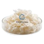 Industrial Agricultural Grade Chitosan Powder Carboxymethyl Chitin Natural Nano