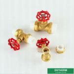 20mm Heat Insulation Iron Handle Ppr Brass Gate Valve