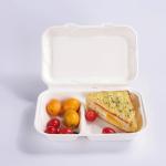 Disposable Take Away Food Packaging Clamshells 9 X 6In 2 Compartment Lunch Box