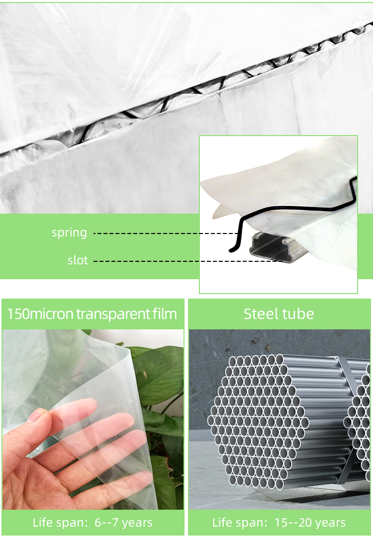 Economical Tunnel Greenhouse with Side Ventilation for Plant Growth