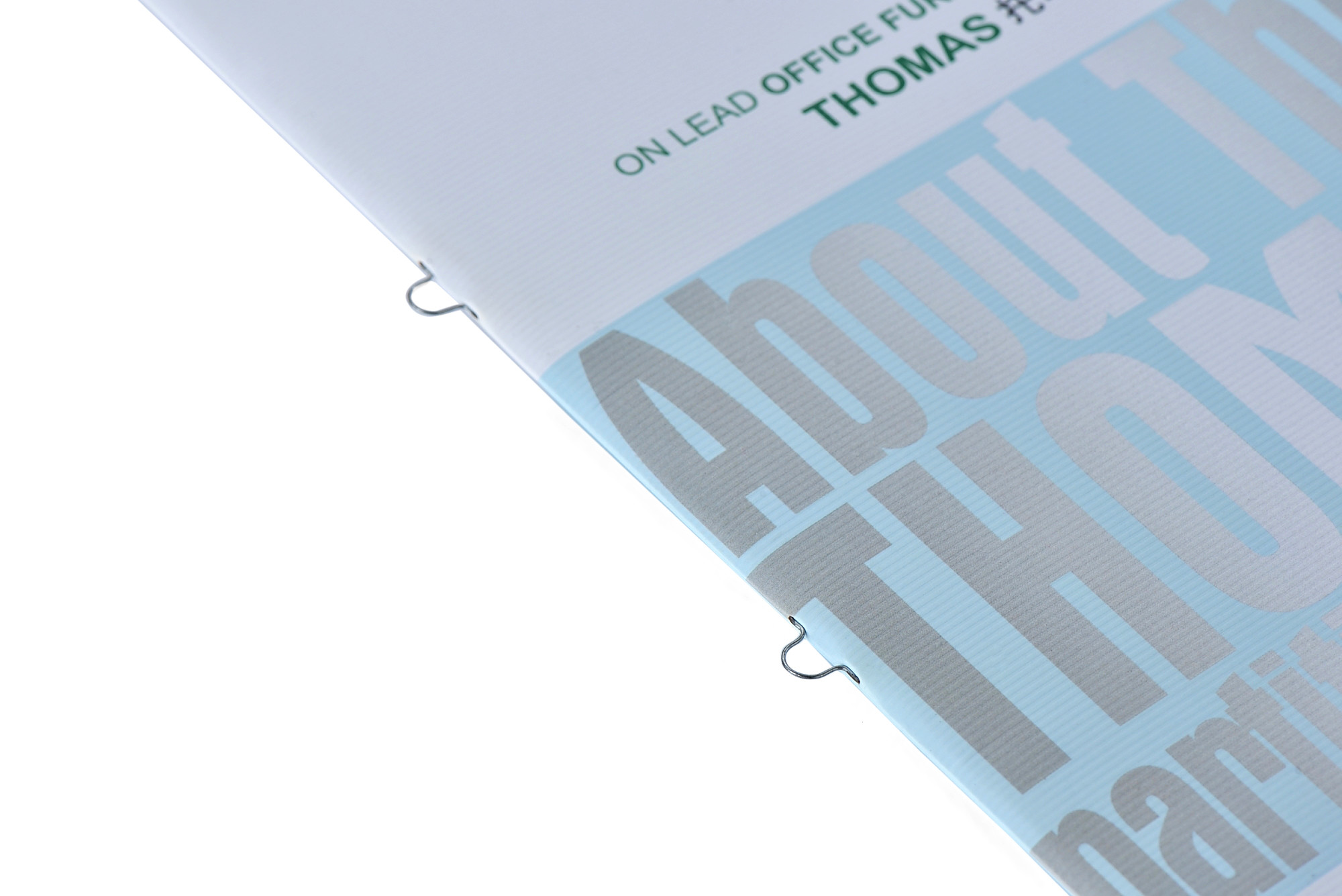 A4 Custom Peg Saddle Stitch Brochure Printing , Softcover Catalog Booklet Printing