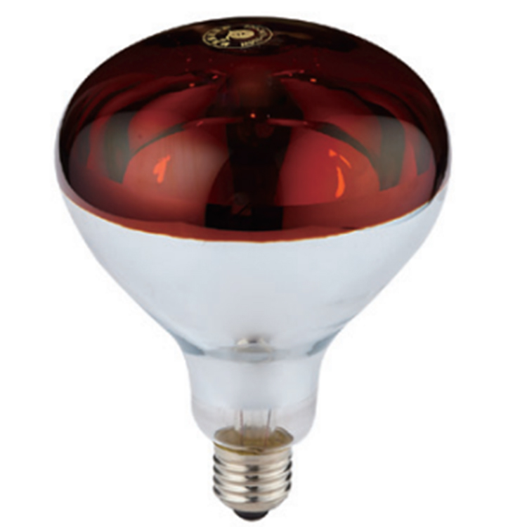 230V Reptile Breeding Bulb Lampshade in Modern Design Style for Roasted Red