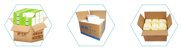 Full Automatic Cotton Tissue Machine Case Packer Machine Packing Conveyor Line