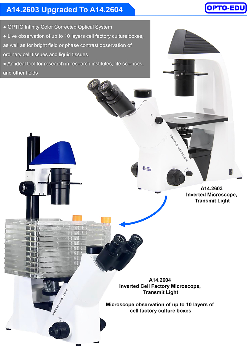 Opto-Edu A14.2604 Inverted Optical Trinocular Phase Contrast Cell Factory Microscope