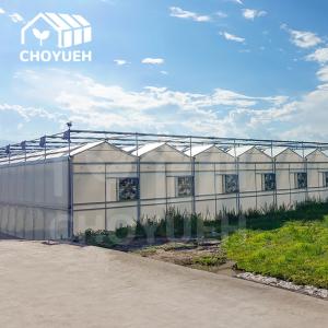 China Wind Resistance Multi Span Film Greenhouse With Ventilation System wholesale