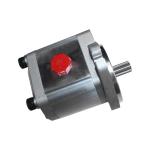 Portable Stainless Steel Electric 110V 220V Gear Pump for Food Grade Lube Oil