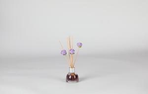 China OEM 30ml Diffuser Fragrance Gift Sets for office wholesale