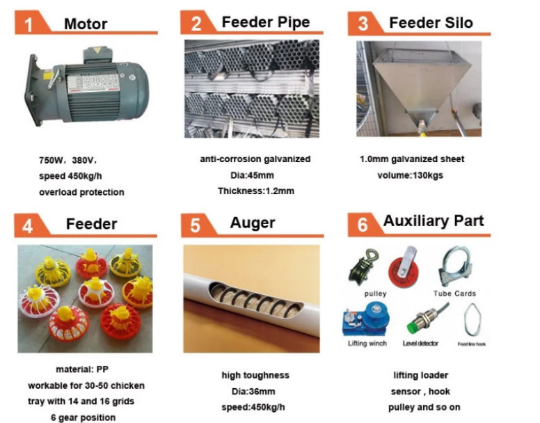 150kg Poultry Feed Line Automatic Broiler Feeding System