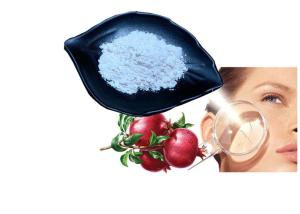 China Anti Aging 99% Cosmetic Raw Material Pomegranate Peel Extract Ellagic Acid wholesale