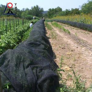 China 30gsm-300gsm HDPE Sun Shade Net Greenhouse Vegetable Garden wholesale